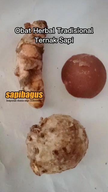 Cekok-Jamu-Herbal-Ternak